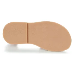 Citrouille et Compagnie - JASMA