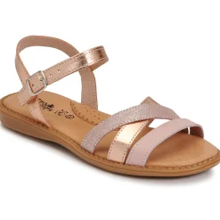 Citrouille et Compagnie - IZOEGL