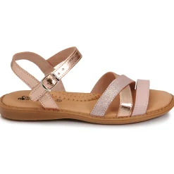 Citrouille et Compagnie - IZOEGL