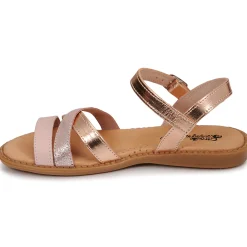 Citrouille et Compagnie - IZOEGL