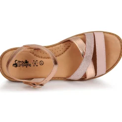 Citrouille et Compagnie - IZOEGL