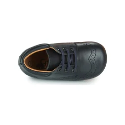 Citrouille et Compagnie - PAULO