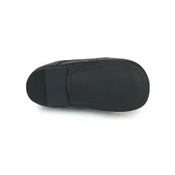 Citrouille et Compagnie - PAULO