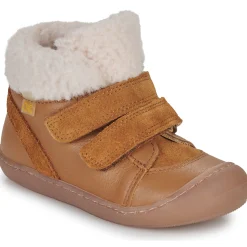 Citrouille et Compagnie - NEBULI