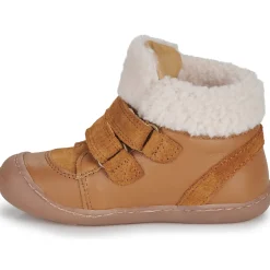 Citrouille et Compagnie - NEBULI