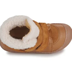 Citrouille et Compagnie - NEBULI