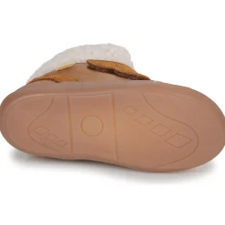 Citrouille et Compagnie - NEBULI