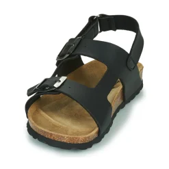 Citrouille et Compagnie - KELATU