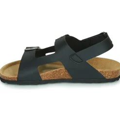 Citrouille et Compagnie - KELATU