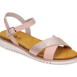 Citrouille et Compagnie - GAUFRETTE