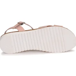 Citrouille et Compagnie - GAUFRETTE