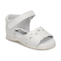 Citrouille et Compagnie - MINUS