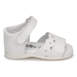 Citrouille et Compagnie - MINUS