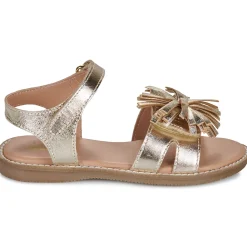 Citrouille et Compagnie - PETALE