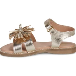 Citrouille et Compagnie - PETALE