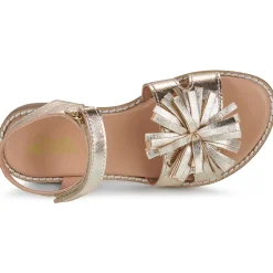 Citrouille et Compagnie - PETALE