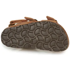 Citrouille et Compagnie - KELATU