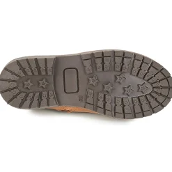 Citrouille et Compagnie - JODILAEM