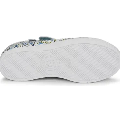 Citrouille et Compagnie - APSUT