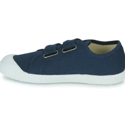 Citrouille et Compagnie - MINOT