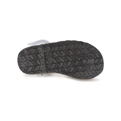 Citrouille et Compagnie - SQUOUBEL