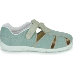 Citrouille et Compagnie - FIJOSAN