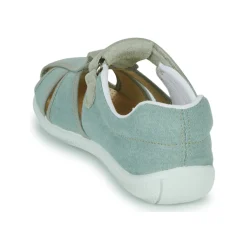 Citrouille et Compagnie - FIJOSAN