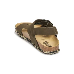 Citrouille et Compagnie - KELATU