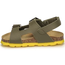 Citrouille et Compagnie - KELATU