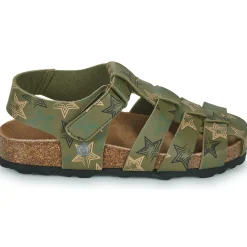 Citrouille et Compagnie - BAMBOCHE