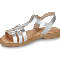 Citrouille et Compagnie - TALEAU