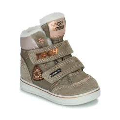 Citrouille et Compagnie - PALADIN