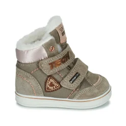 Citrouille et Compagnie - PALADIN