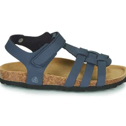 Citrouille et Compagnie - JANISOL