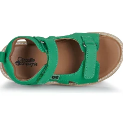 Citrouille et Compagnie - JOUPI