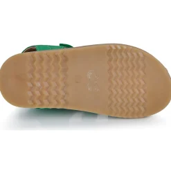 Citrouille et Compagnie - JOUPI