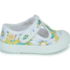 Citrouille et Compagnie - ALUNA