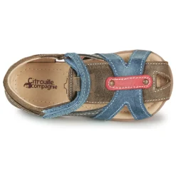 Citrouille et Compagnie - MARIOL