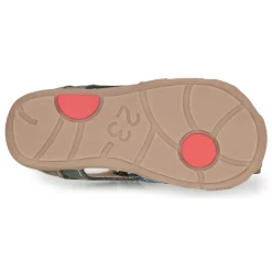 Citrouille et Compagnie - MARIOL