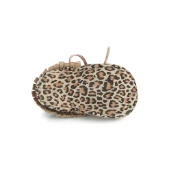 Citrouille et Compagnie - LILIFI