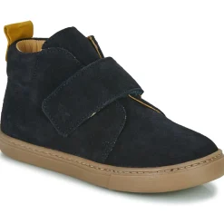 Citrouille et Compagnie - FOJAMO