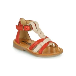 Citrouille et Compagnie - GITANOLO