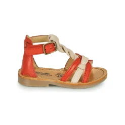 Citrouille et Compagnie - GITANOLO