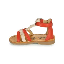 Citrouille et Compagnie - GITANOLO