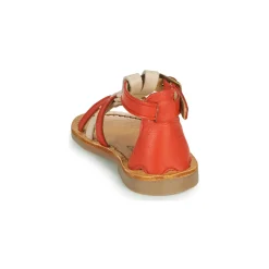 Citrouille et Compagnie - GITANOLO