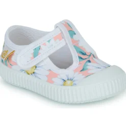 Citrouille et Compagnie - ALUNA