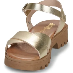 Citrouille et Compagnie - LILY