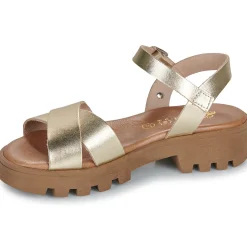 Citrouille et Compagnie - LILY