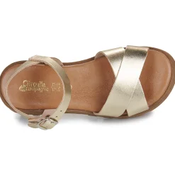 Citrouille et Compagnie - LILY