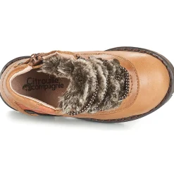 Citrouille et Compagnie - JODILAEM